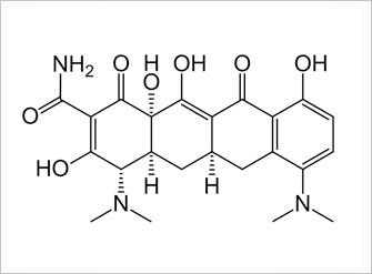 Minocycline molecule